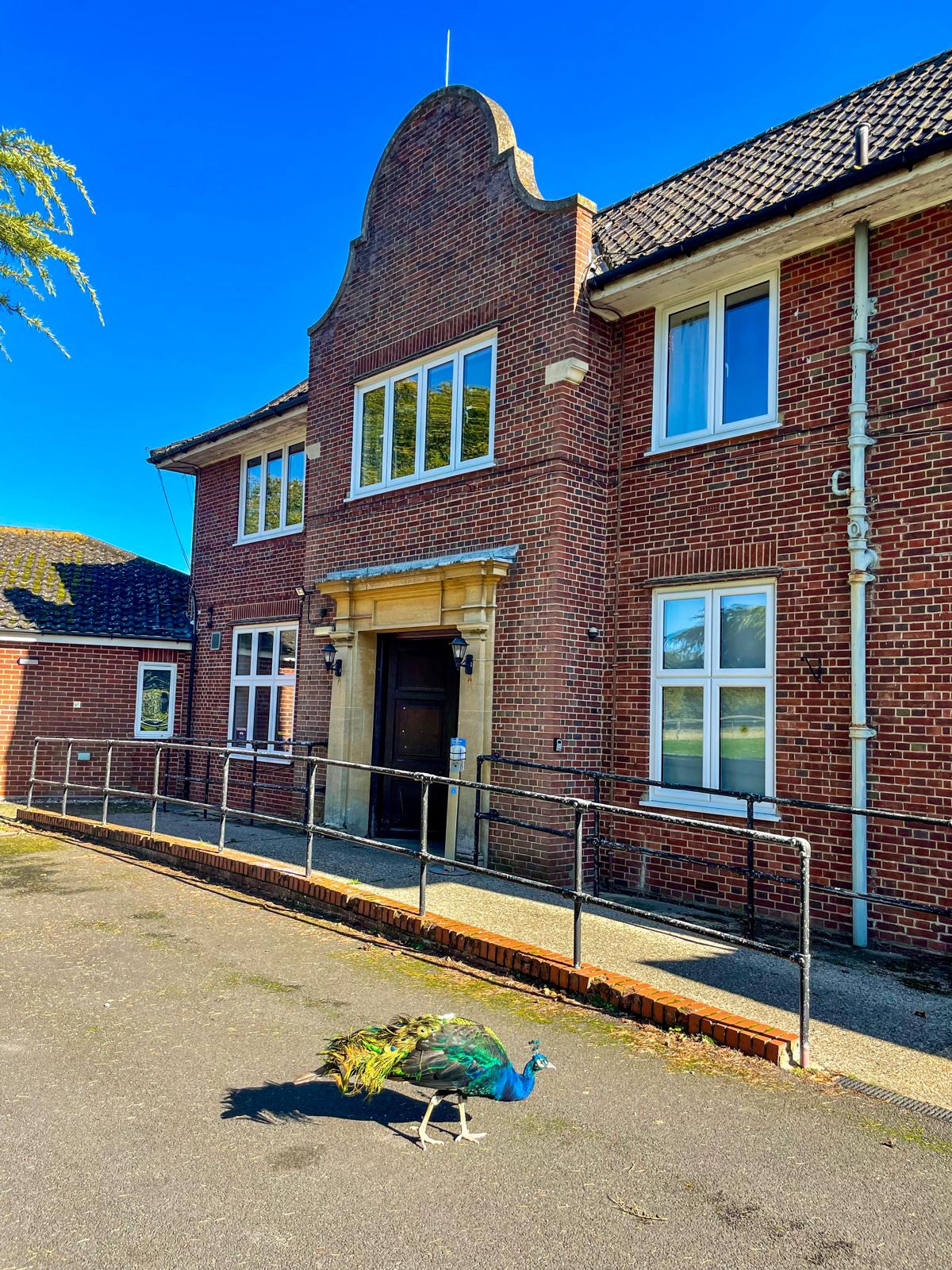 Double en-suite rooms available £475pcm inc all bills