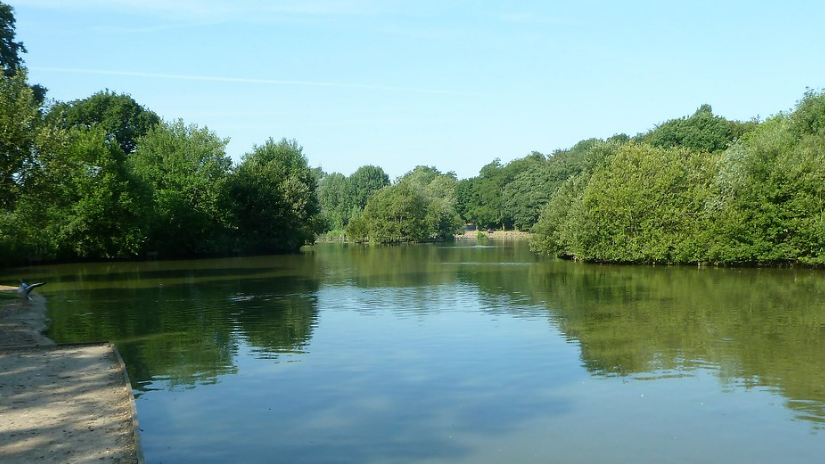 4 bed house becoming available £850 exc bills