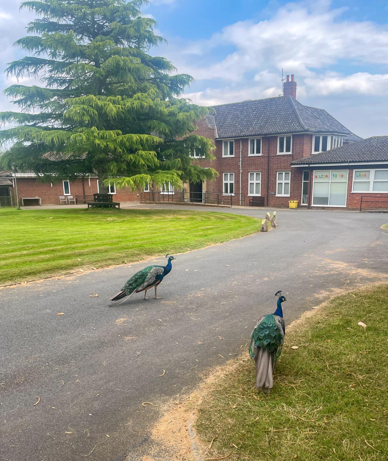 Double en-suite rooms available £475pcm inc all bills